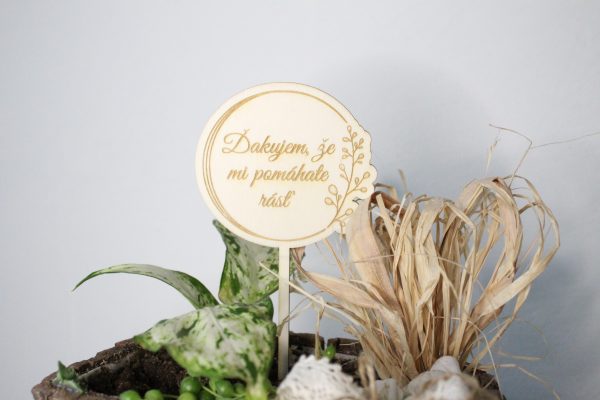 Zápich ku dňu učiteľov FLORA - Image 3