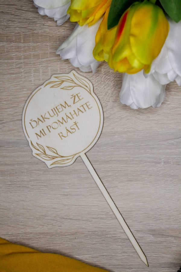 Zápich ku dňu učiteľov RUSTIC - Image 4